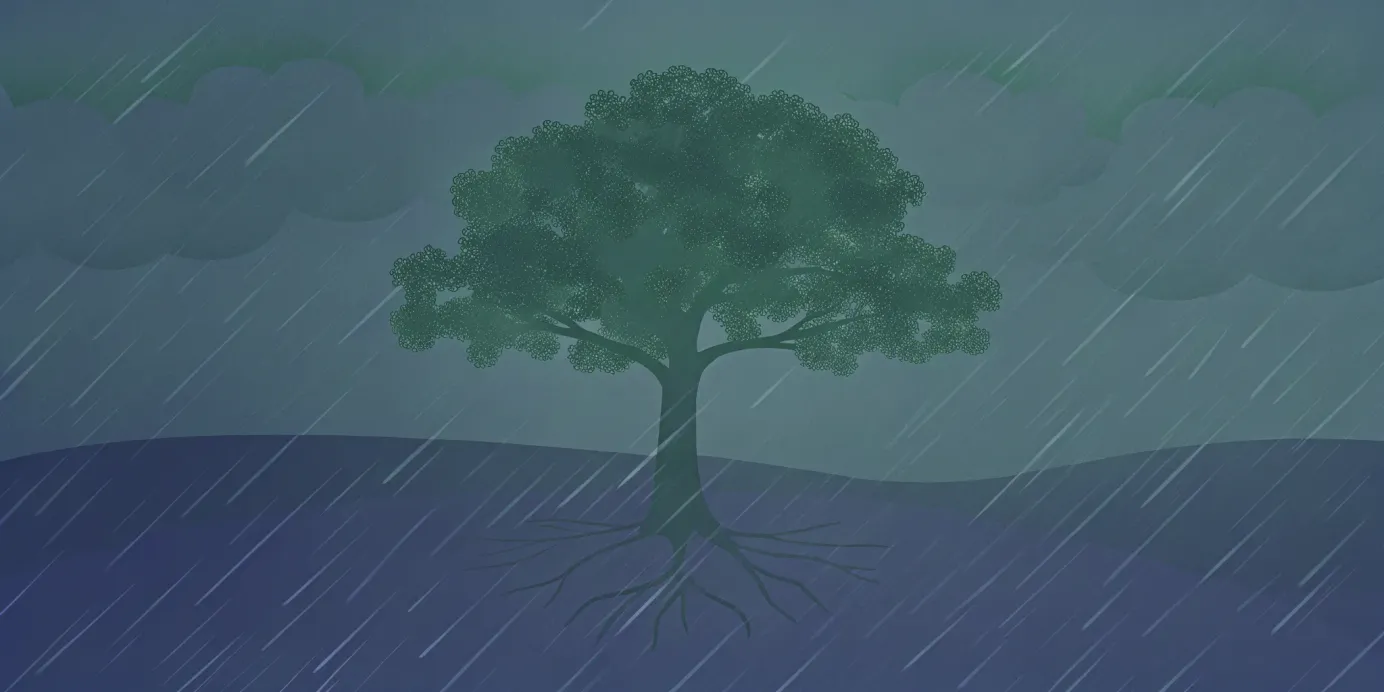 Tree with strong roots weathering a storm, the foundation for Kubernetes disaster recovery.